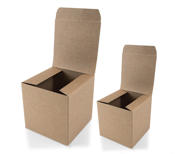 Custom Recyclable Boxes