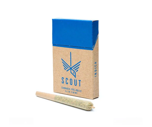 Pre-Roll Packaging: Wholesale Pre-Roll Joint Tubes & Boxes