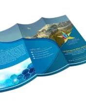 8.5 x 11 Brochures