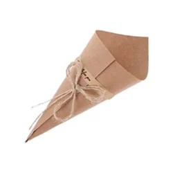 Paper-Cone