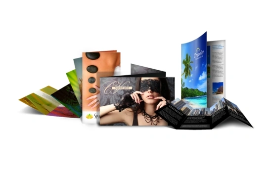 11 x 17 Brochures